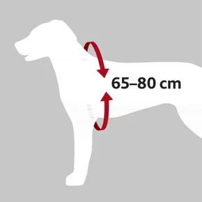 Samochodowe szelki bezpieczeństwa L 65-80 cm/23 mm